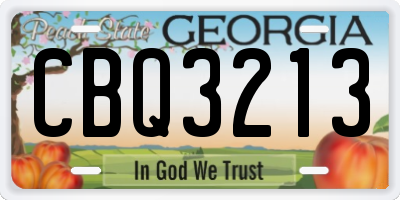 GA license plate CBQ3213