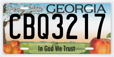 GA license plate CBQ3217