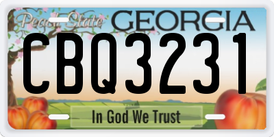 GA license plate CBQ3231