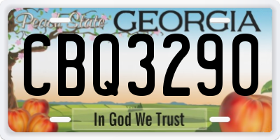 GA license plate CBQ3290