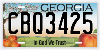 GA license plate CBQ3425