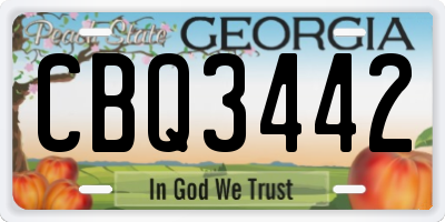 GA license plate CBQ3442