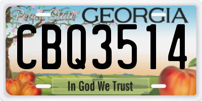 GA license plate CBQ3514