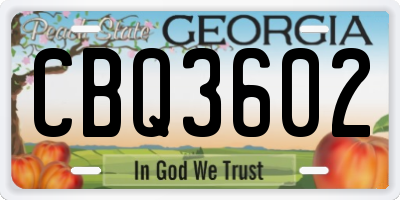 GA license plate CBQ3602