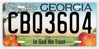 GA license plate CBQ3604