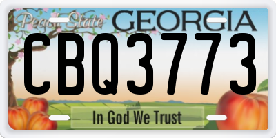 GA license plate CBQ3773