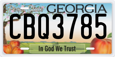 GA license plate CBQ3785