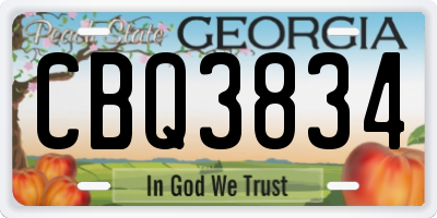 GA license plate CBQ3834