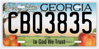 GA license plate CBQ3835