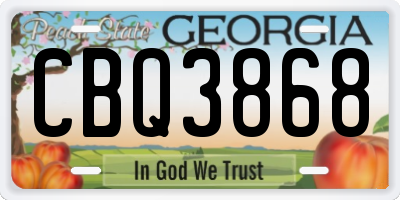 GA license plate CBQ3868