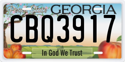 GA license plate CBQ3917