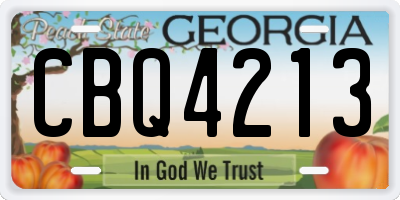 GA license plate CBQ4213