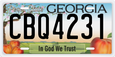 GA license plate CBQ4231