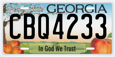 GA license plate CBQ4233