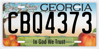 GA license plate CBQ4373