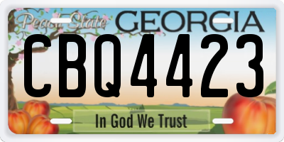 GA license plate CBQ4423