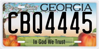 GA license plate CBQ4445