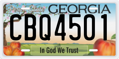 GA license plate CBQ4501