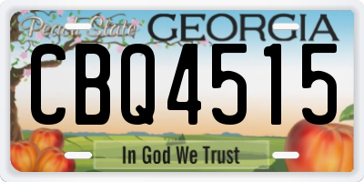 GA license plate CBQ4515