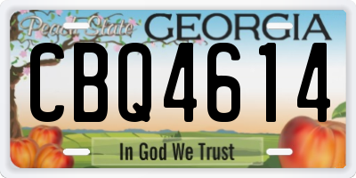 GA license plate CBQ4614