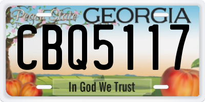 GA license plate CBQ5117