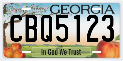 GA license plate CBQ5123