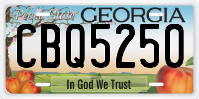 GA license plate CBQ5250