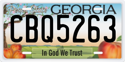 GA license plate CBQ5263