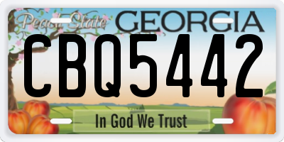 GA license plate CBQ5442