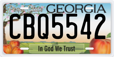 GA license plate CBQ5542