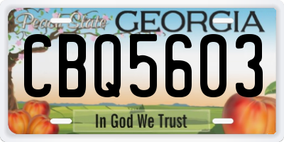 GA license plate CBQ5603