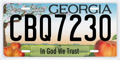 GA license plate CBQ7230