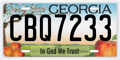 GA license plate CBQ7233
