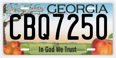 GA license plate CBQ7250