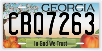 GA license plate CBQ7263
