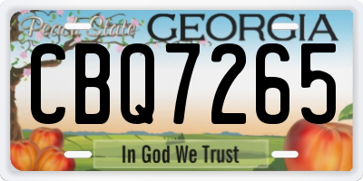GA license plate CBQ7265