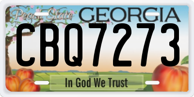 GA license plate CBQ7273