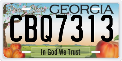 GA license plate CBQ7313