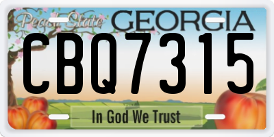 GA license plate CBQ7315