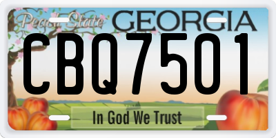 GA license plate CBQ7501