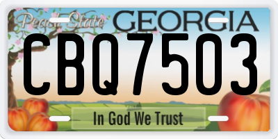 GA license plate CBQ7503