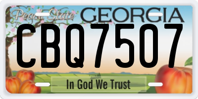 GA license plate CBQ7507