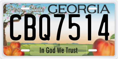 GA license plate CBQ7514