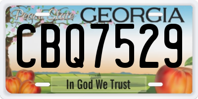 GA license plate CBQ7529