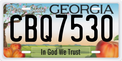 GA license plate CBQ7530