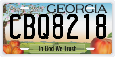 GA license plate CBQ8218