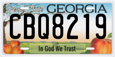 GA license plate CBQ8219