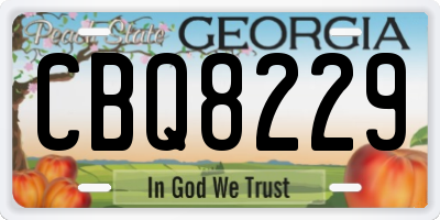 GA license plate CBQ8229