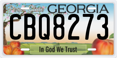 GA license plate CBQ8273