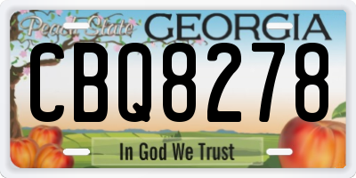 GA license plate CBQ8278